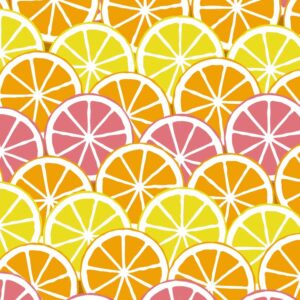 Citrus Slices Stripe by Stacy Kenny Mitchell