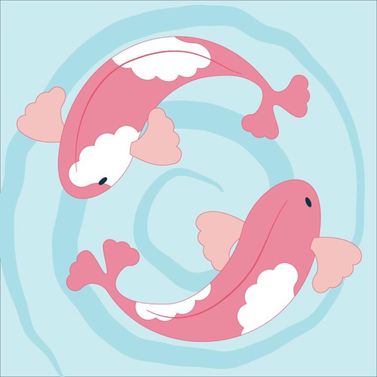 Two koi swimming in a circle illustration by Stacy Kenny Mitchell