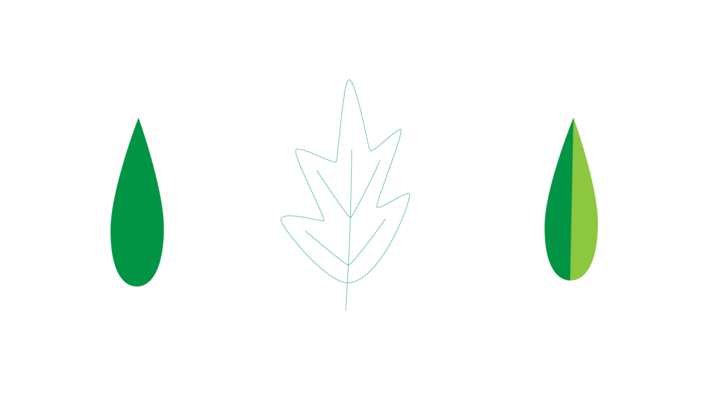 Three leaves we'll turn into brushes in Adobe Illustrator